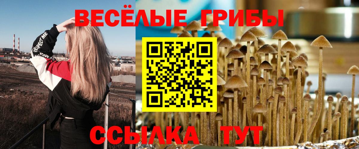 Псилоцибиновые грибы мухоморы Томск