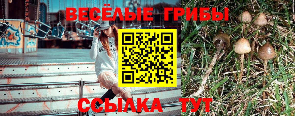 Галлюциногенные грибы ЛСД  Псилоцибиновые грибы ЛСД  Вход с VPN  Томск 